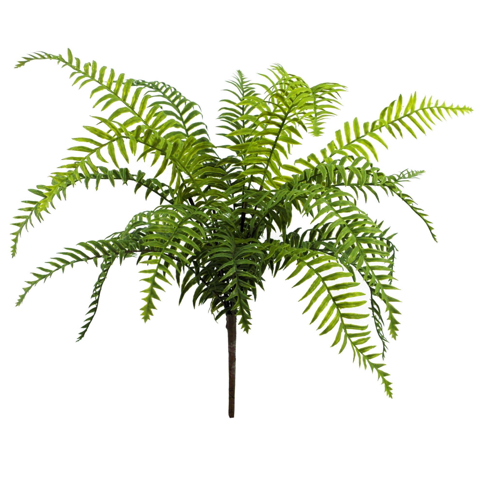 50cm Artificial Boston Fronded Fern Plant Leaf Artificial Plants & Trees