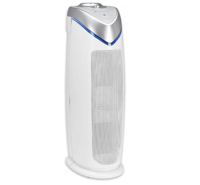 The 7 Best Air Purifiers for Wildfire Smoke LeafScore