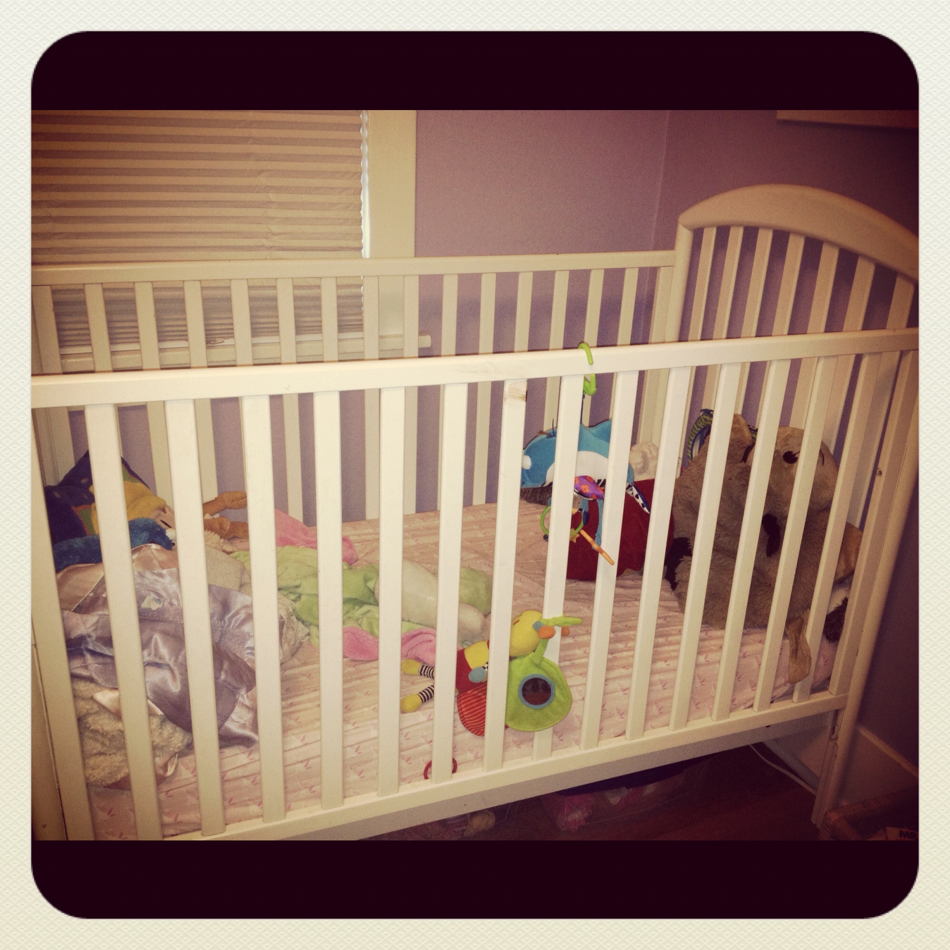 Pimp My Crib Lea Geller