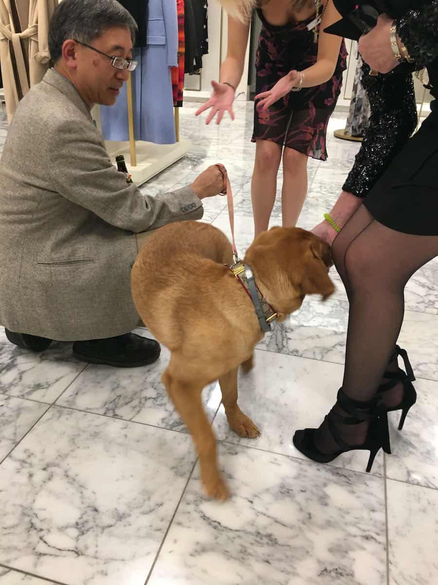 Pet Friendly Stores Where Dogs Are Allowed 2022