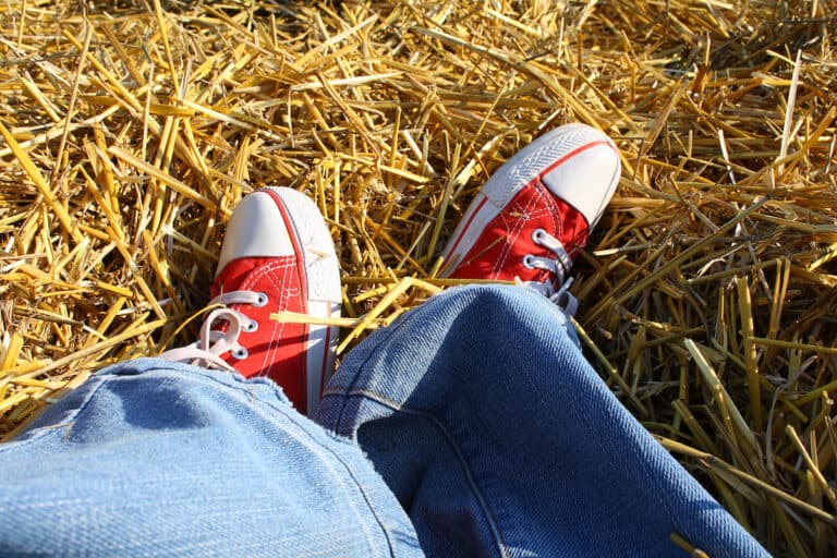 Converse Shoe Size Chart 2024