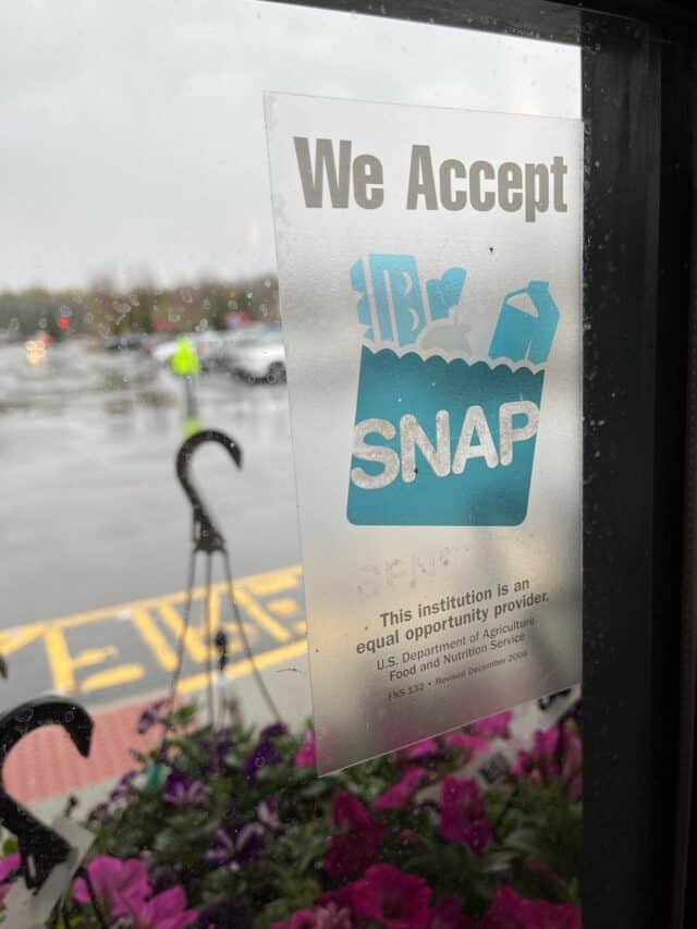 Grocery Stores that Accept EBT Online 2024