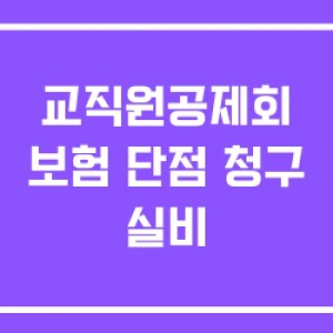 교직원공제회 보험 단점 청구 실비 교직원공제회 보험 단점 청구 실비