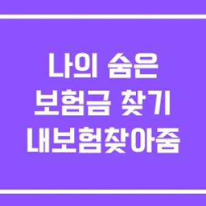나의 숨은 보험금 찾기 내보험찾아줌 나의 숨은 보험금 찾기 내보험찾아줌