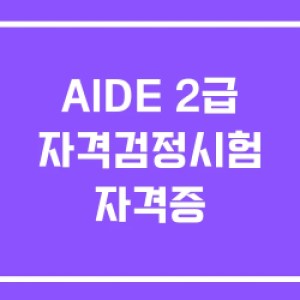 AIDE 2급 자격검정시험 자격증 AIDE 2급 자격검정시험 자격증