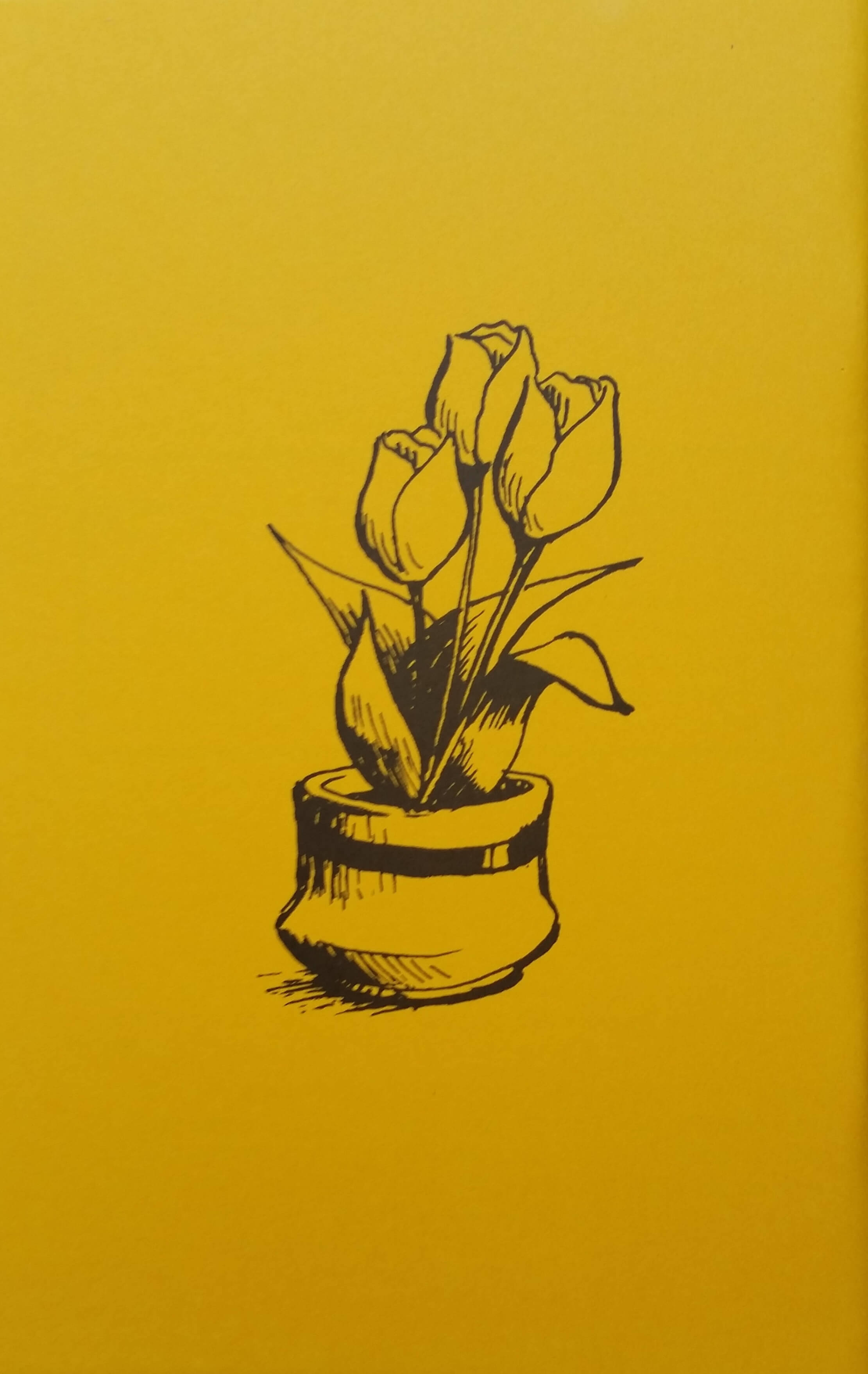 Bruce McIntyre Drawing Books