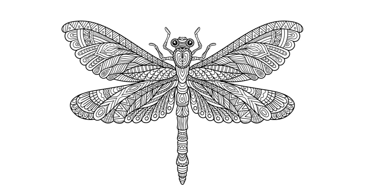 Explore 79+ best dragonfly coloring pages , free to print and download