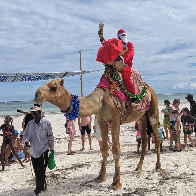 Christmas in South Africa Enlightening Enjoyment in the Middle of the