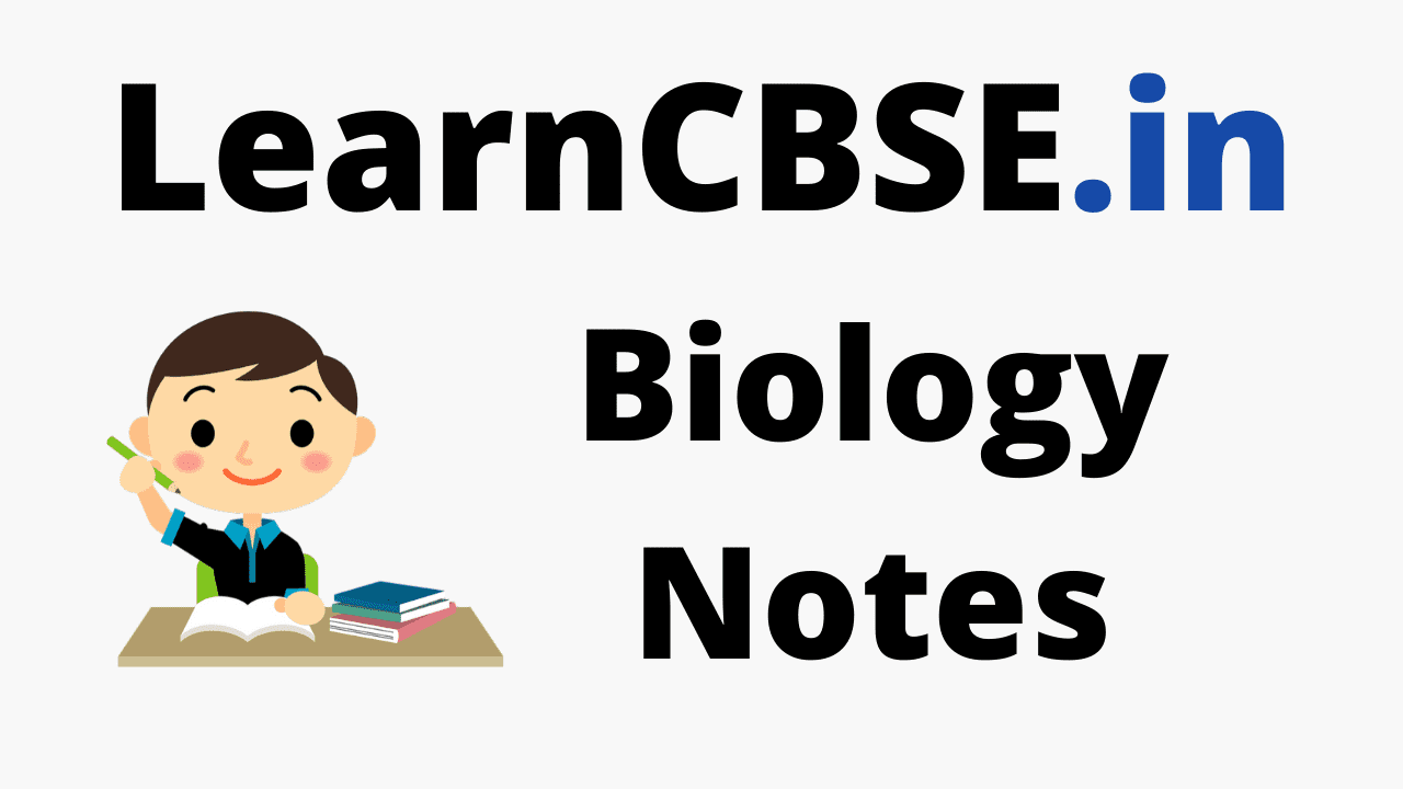 Download CBSE Class 6 to 12 Biology Notes PDF Free for Quick Revision