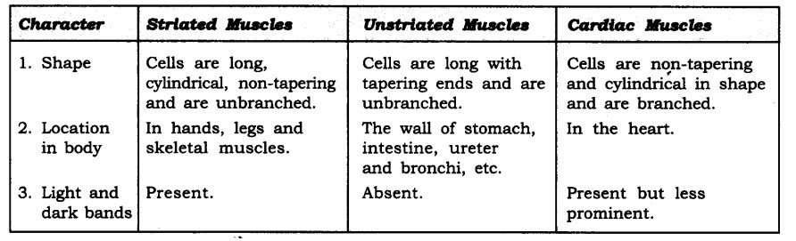 Просмотров трансляция закончилась 3 месяца назад. Ncert Solutions For Class 9 Science Chapter 6 Tissues