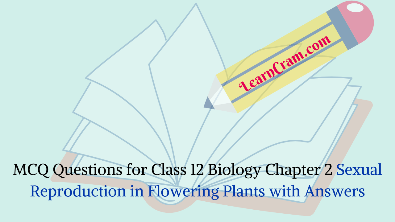 MCQ Questions for Class 12 Biology Chapter 2 Sexual Reproduction in