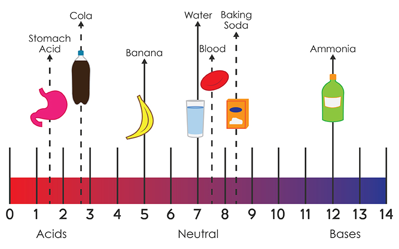 Acids and Bases The Voyage of the Proton Annenberg Learner