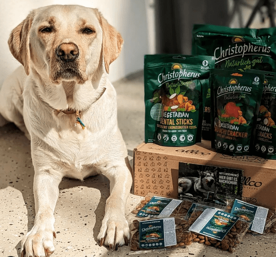 The Ultimate Guide to Vegetarian Dog Food Brands