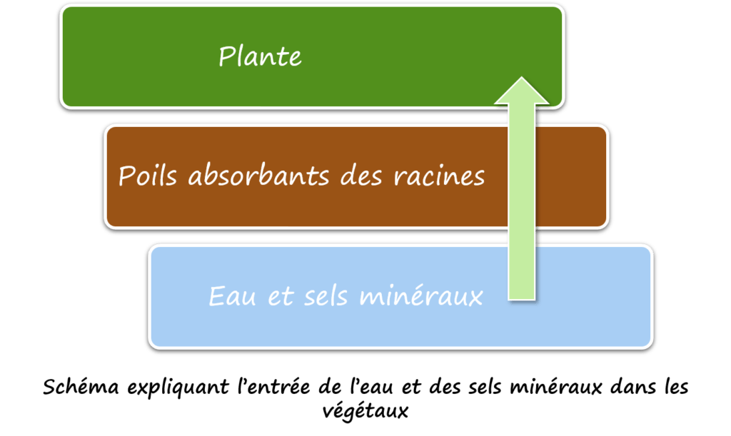 Partie 3 Learning