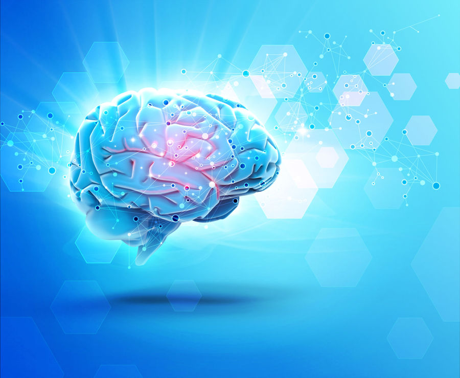 4 Daily Habits That Will Give Your Brain Performance a Powerful Boost