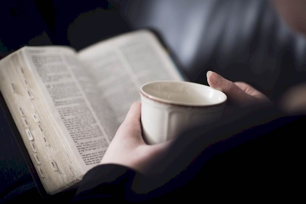 Light Reading VS Deep Reading What You Read Matters More Than You