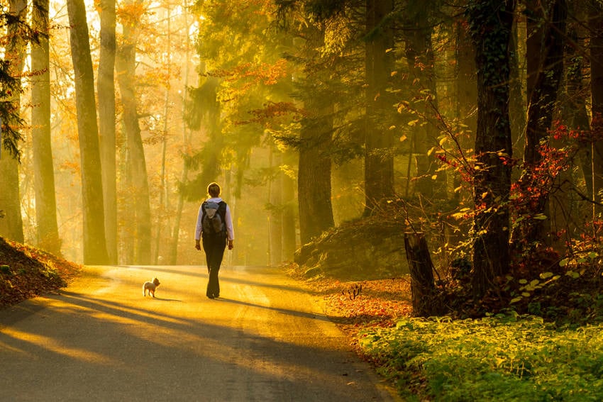 6 Things People Who Like Being Alone Never Worry About Learning Mind