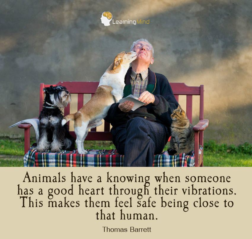 Animals have a knowing when someone has a good heart