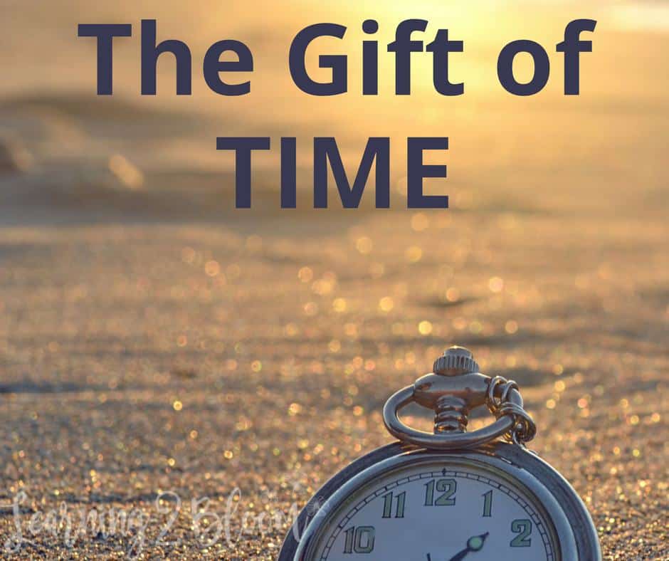 Give the Gift of Time Learning2Bloom