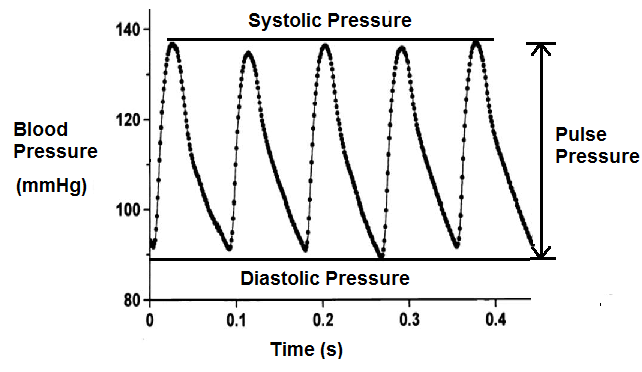 Pulse Pressure Calculator