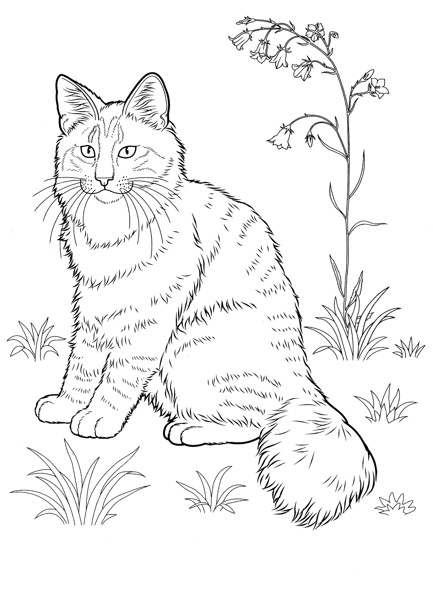 Cat Coloring Pages Printable Learning Printable