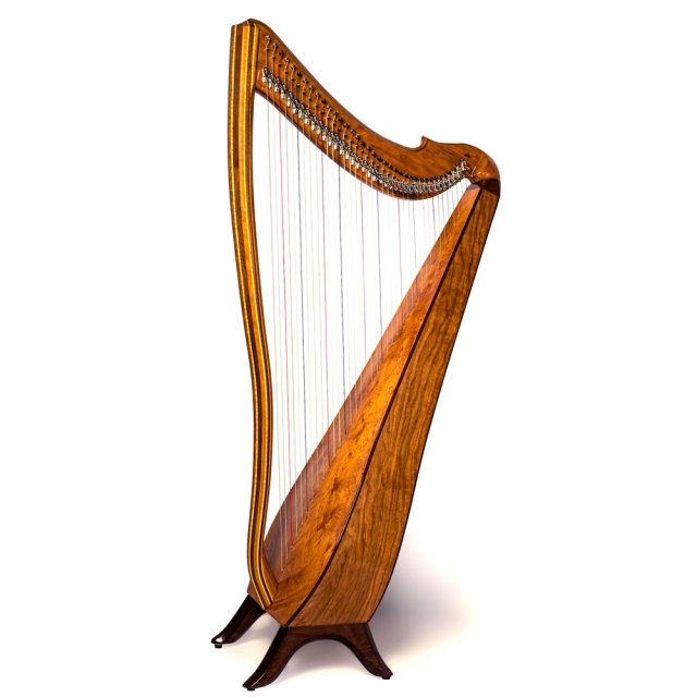 Harps Learning the Harp (2022)