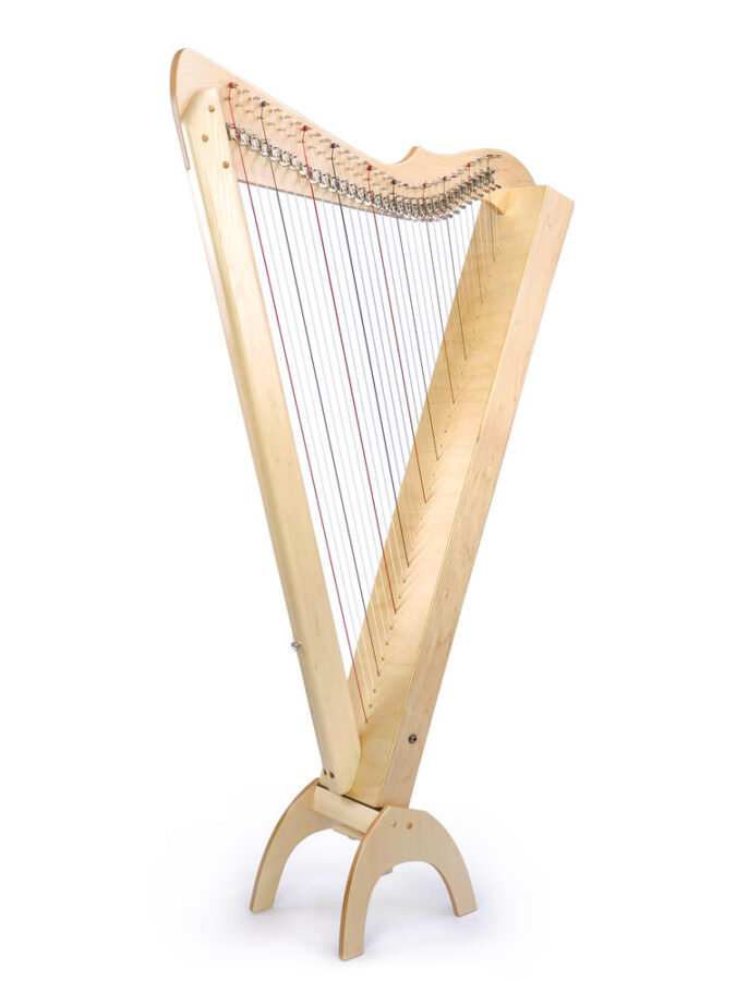 Harps Learning the Harp