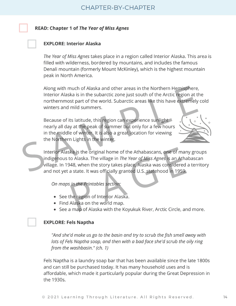 The Year of Miss Agnes Book Guide Learning Through Literature®