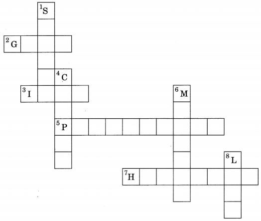 MCQ Questions for Class 9 Science Chapter 3 Atoms and Molecules with