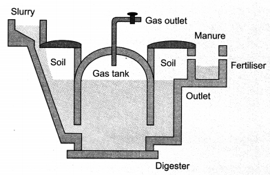 Sources of Energy Class 10 Notes Science Chapter 14 3