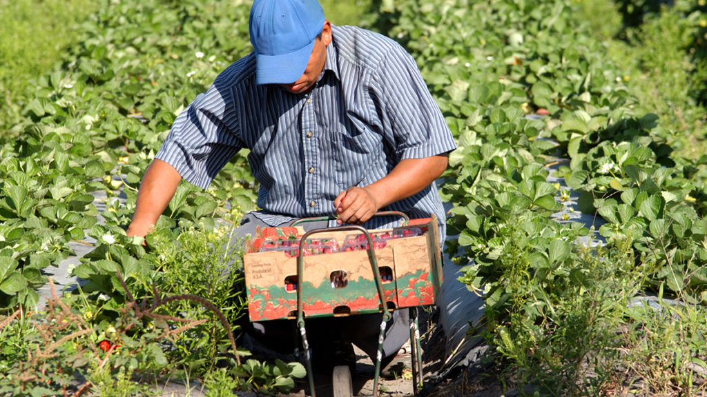 Immigration policy is first and foremost about property rights Learn