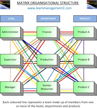 What Is The Matrix Organizational Structure . Matrix Organisational Structure