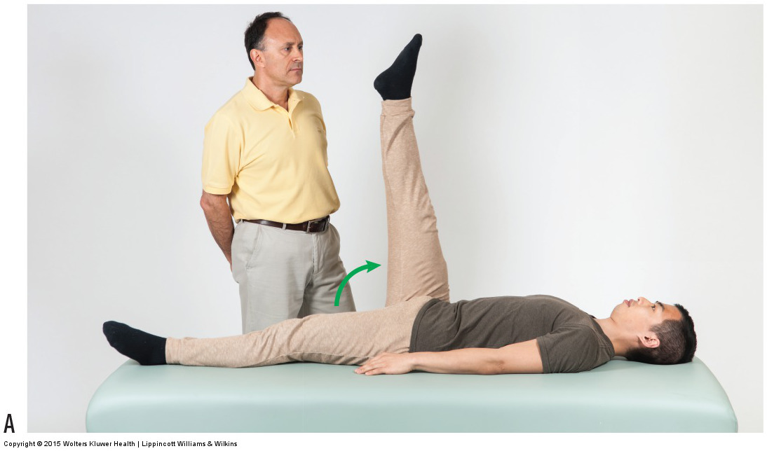 Signs, symptoms, and assessment of spasmed muscles in the low back