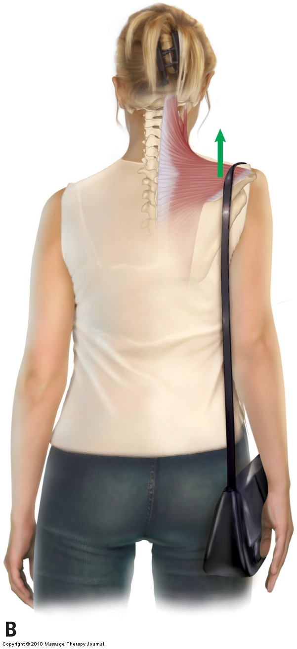 Physical Examination Postural Assessment of the Neck