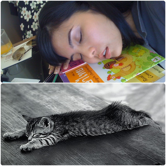 Thai Phrase Knackered, Worn Out or Very Tired Learn Thai with Mod