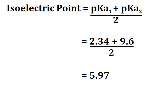 How to Calculate Isoelectric Point.