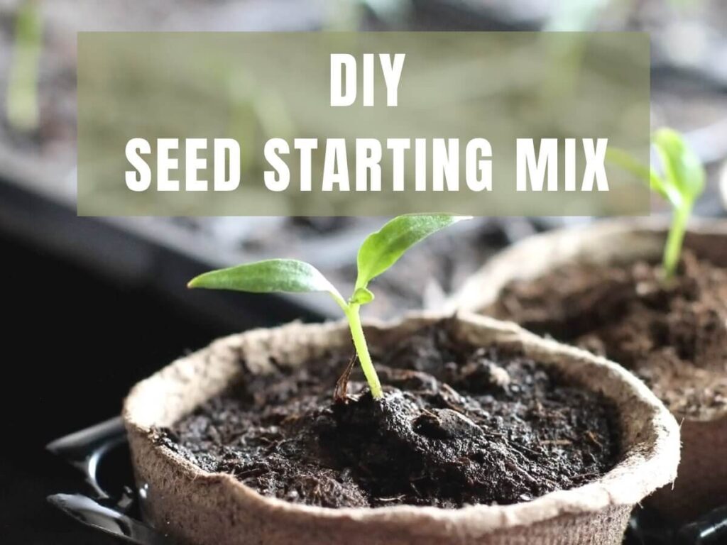 DIY Seed Starting Mix The Best Soil Recipe For Seedlings Learn To