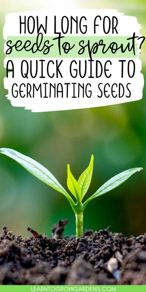 How Long Does It Take For Vegetable Seeds To Sprout Learn To Grow Gardens