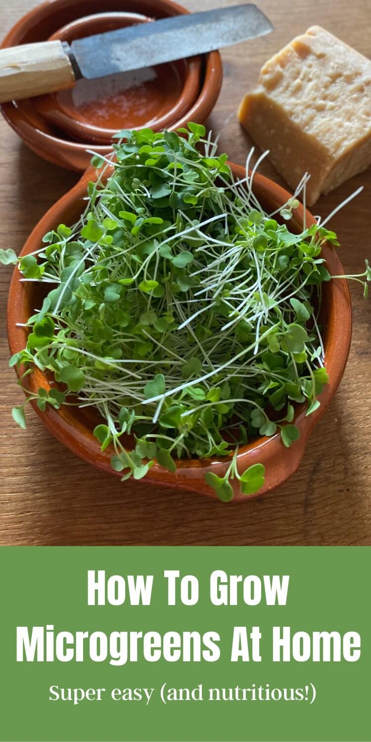 How To Easily Grow Microgreens At Home Learn To Grow Gardens