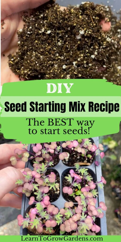 DIY Seed Starting Mix The Best Soil Recipe For Seedlings Learn To