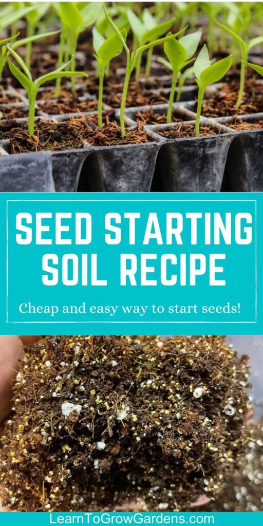 DIY Seed Starting Mix The Best Soil Recipe For Seedlings Learn To