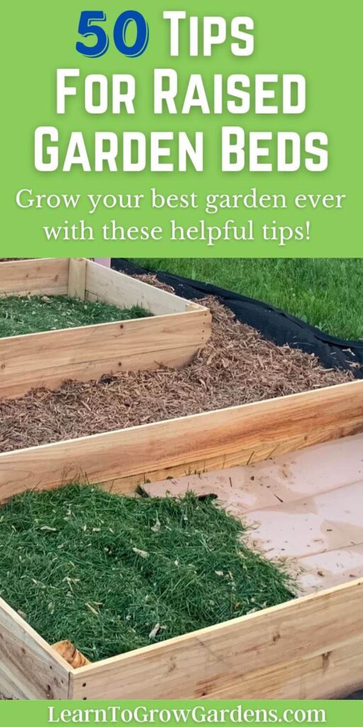 30 Simple Tips For Growing In Raised Garden Beds Learn To Grow Gardens