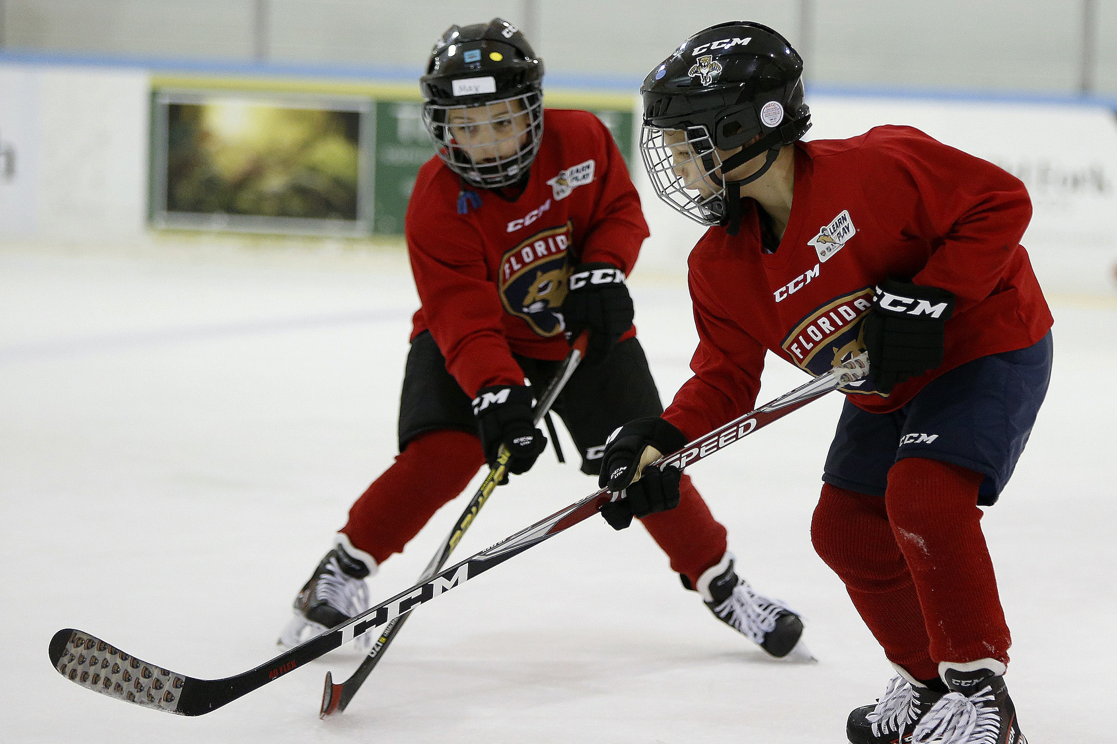 Panthers Learn to Play Hockey NHL