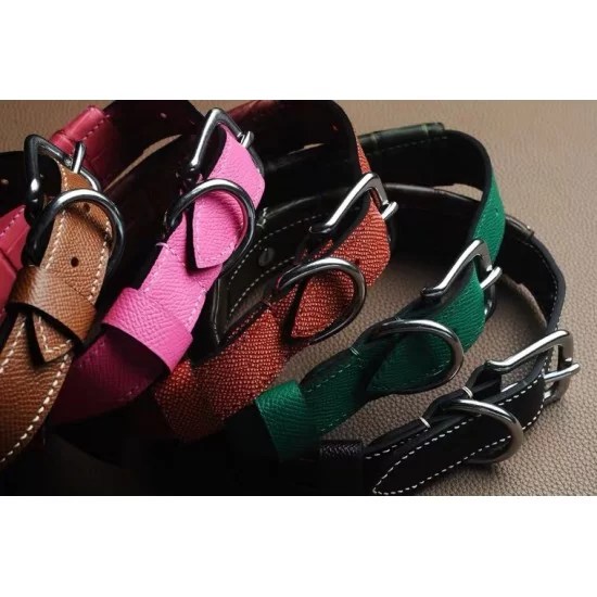 dog collar, cat collar, pattern, templates, pdf, download