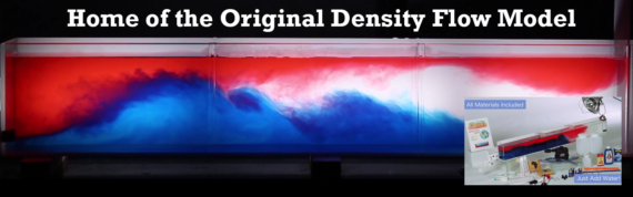 Information About Sea Turtles: Species Identification Key