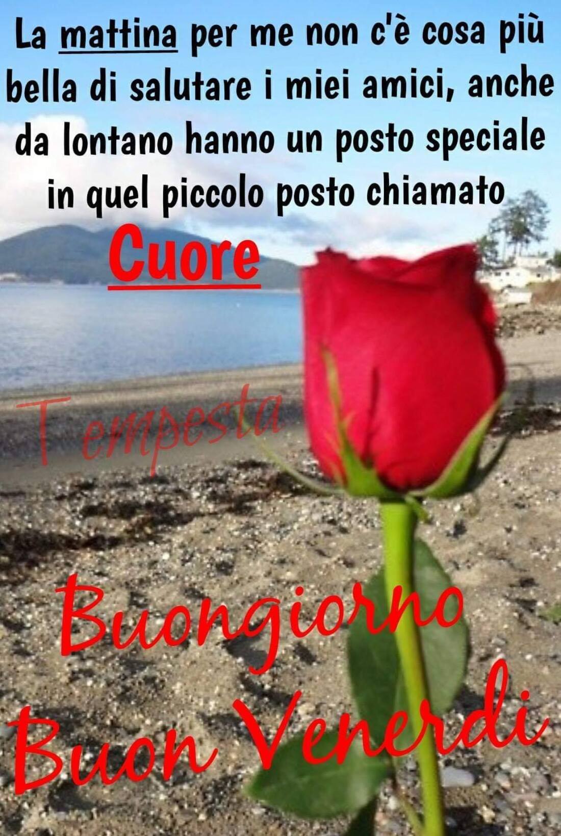 200+ Buon venerdì bellissime immagini e frasi Pagina 4