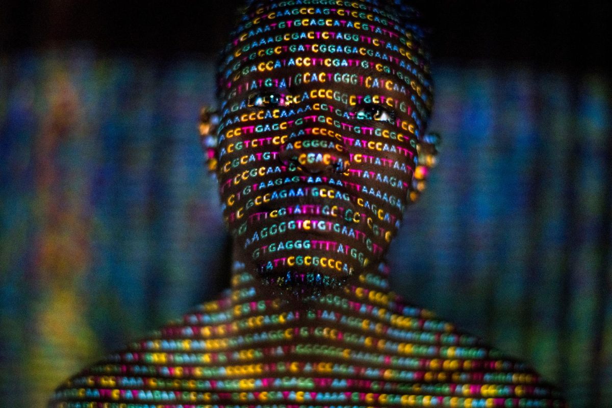 Tests ADN les bases de données permettent d'identifier
