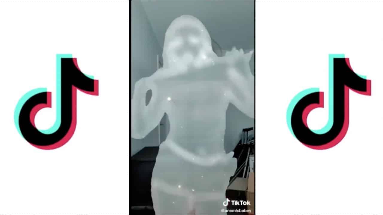 TikTok Invisible Challenge gare à ce logiciel pour voir les(010)