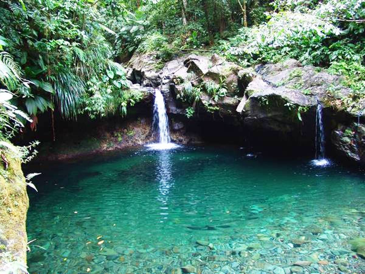 Presentation des cascades & rivières en Guadeloupe