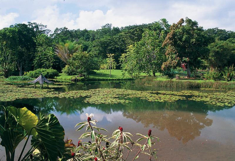 Guadeloupe Découvrez le Jardin de Blonzac de Goyave Le lagon Bleu